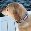 Dog Collar Finishing