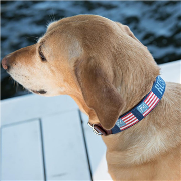 Dog Collar Finishing